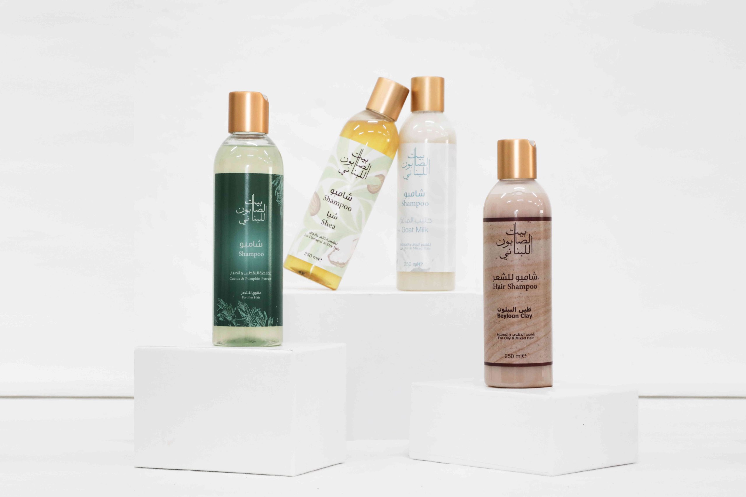Shampoo